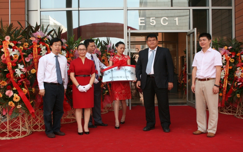 2010年，战略转型，开启多元化发展