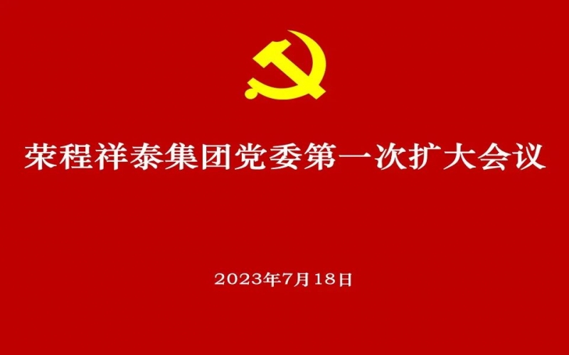 QY千亿祥泰集团党委获批成立 党委高标准部署推动选举工作