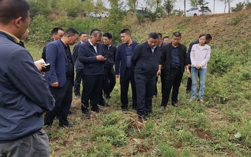 天水市政协副主席、清水县委书记马越垠到“QY千亿百草庄园”中药材试验基地调研中草药产业发展工作