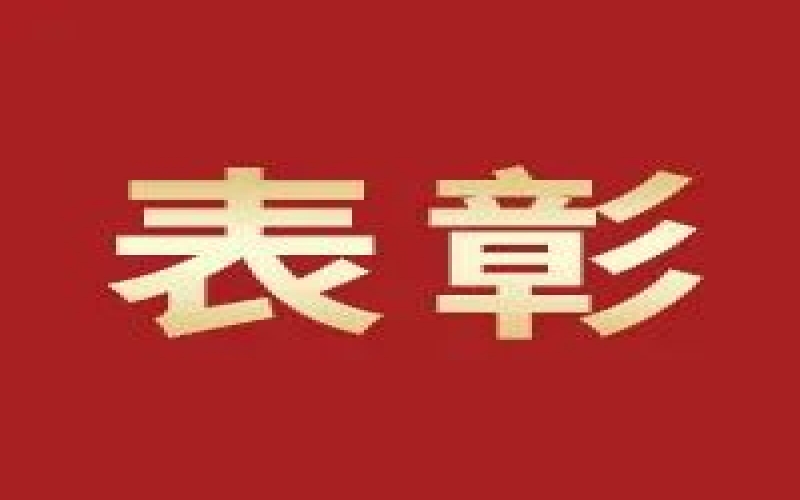 奋进2023，这些集体和个人无上“荣”光