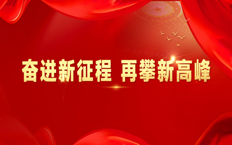 融诚物产集团：打好“组合拳”，提速国际化